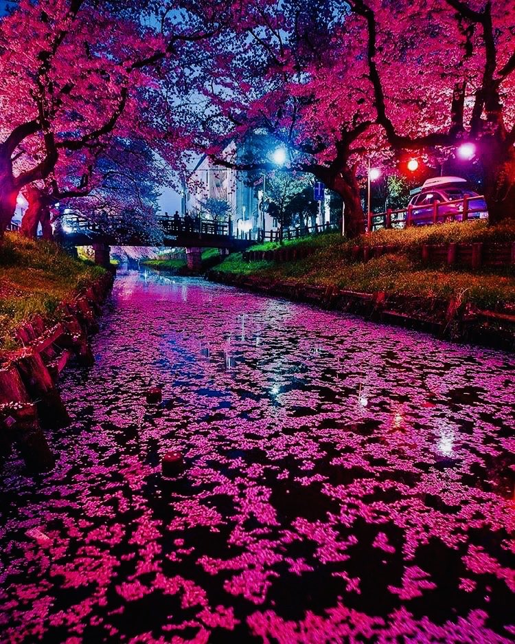 WeliveWorld's tweet photo. Japan https://t.co/7V4R3YXIfM