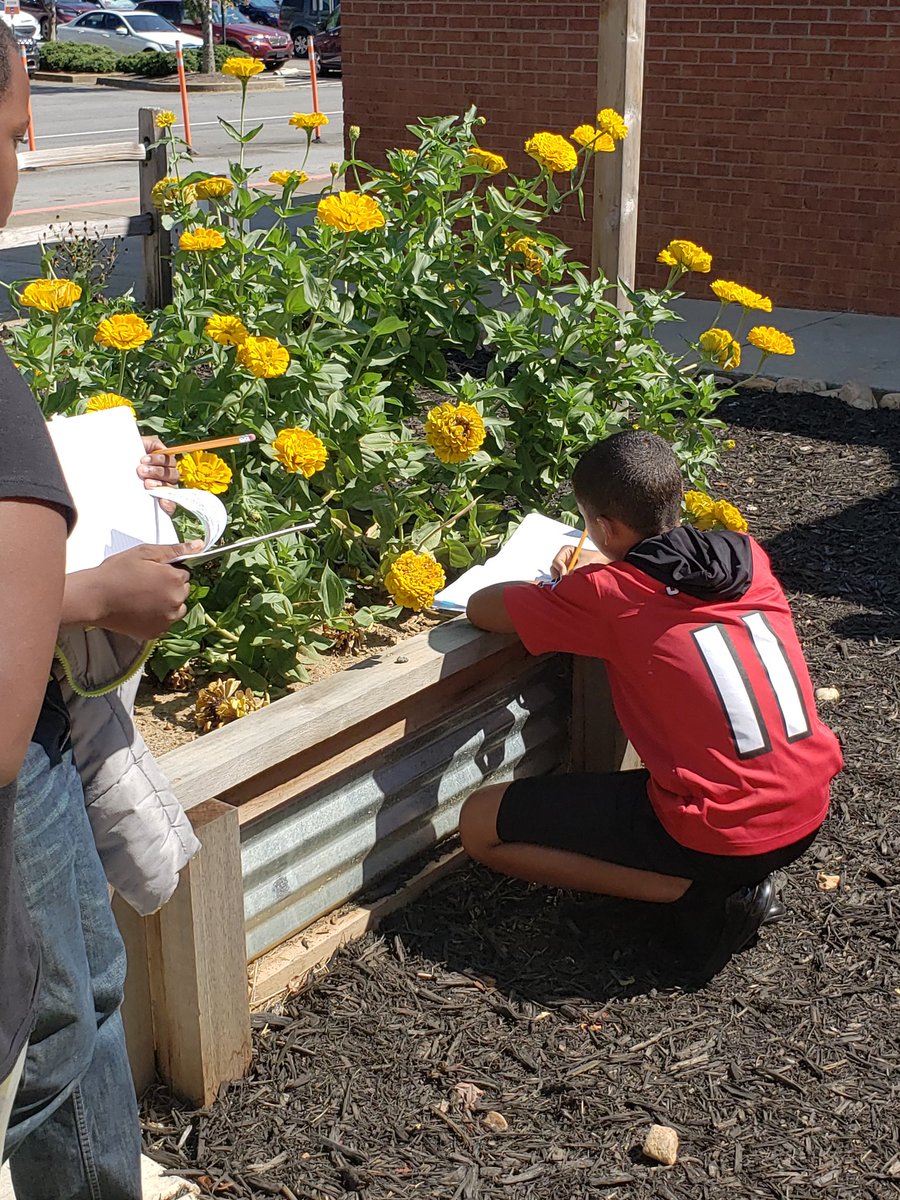 MrsMorris_AES's tweet photo. Learning how to problem solve in the garden. Real world, authentic learning is taking place at Acworth Elementary!@Team_AcworthES @OutTeachEd_SE @CobbSchools #morrismadness, #outdoorlearning https://t.co/RoKw7kjWJy