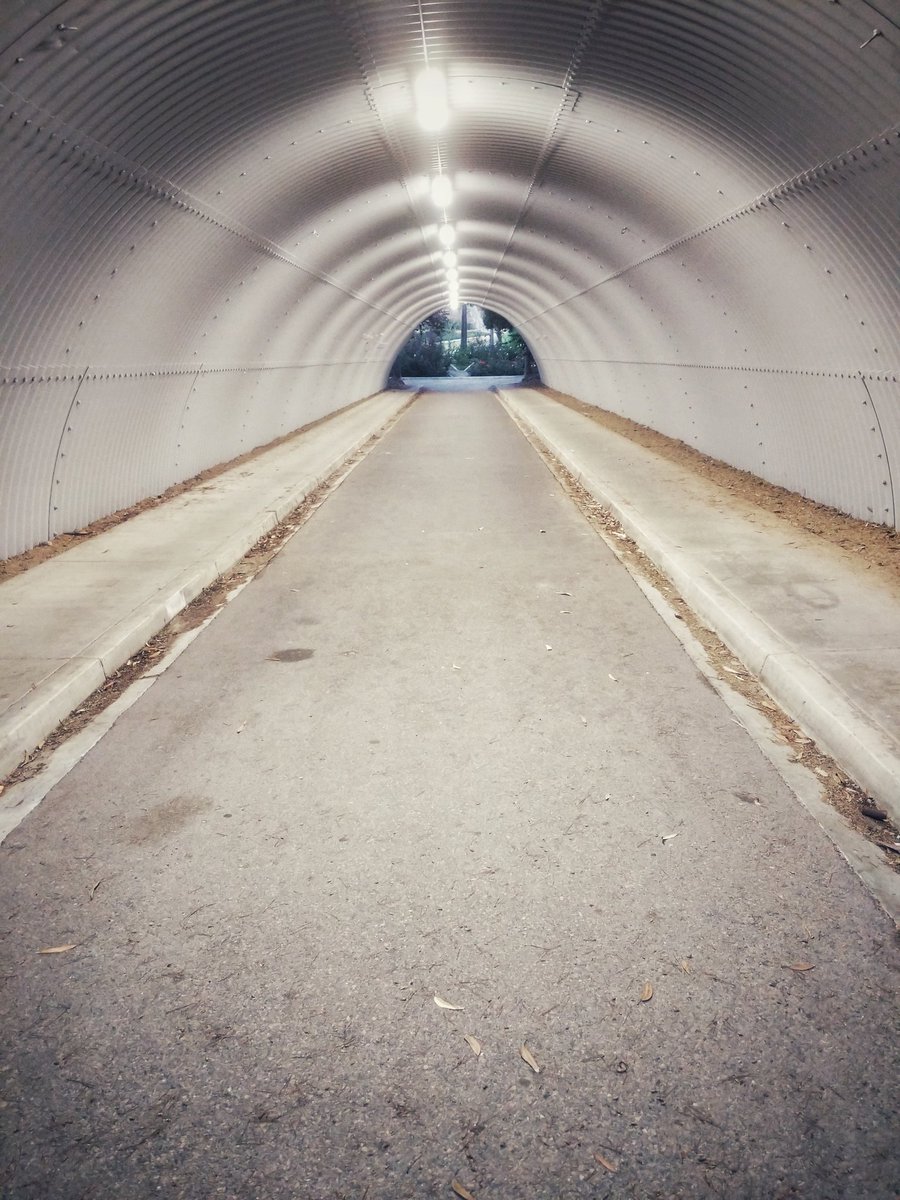 EK Health tweet media