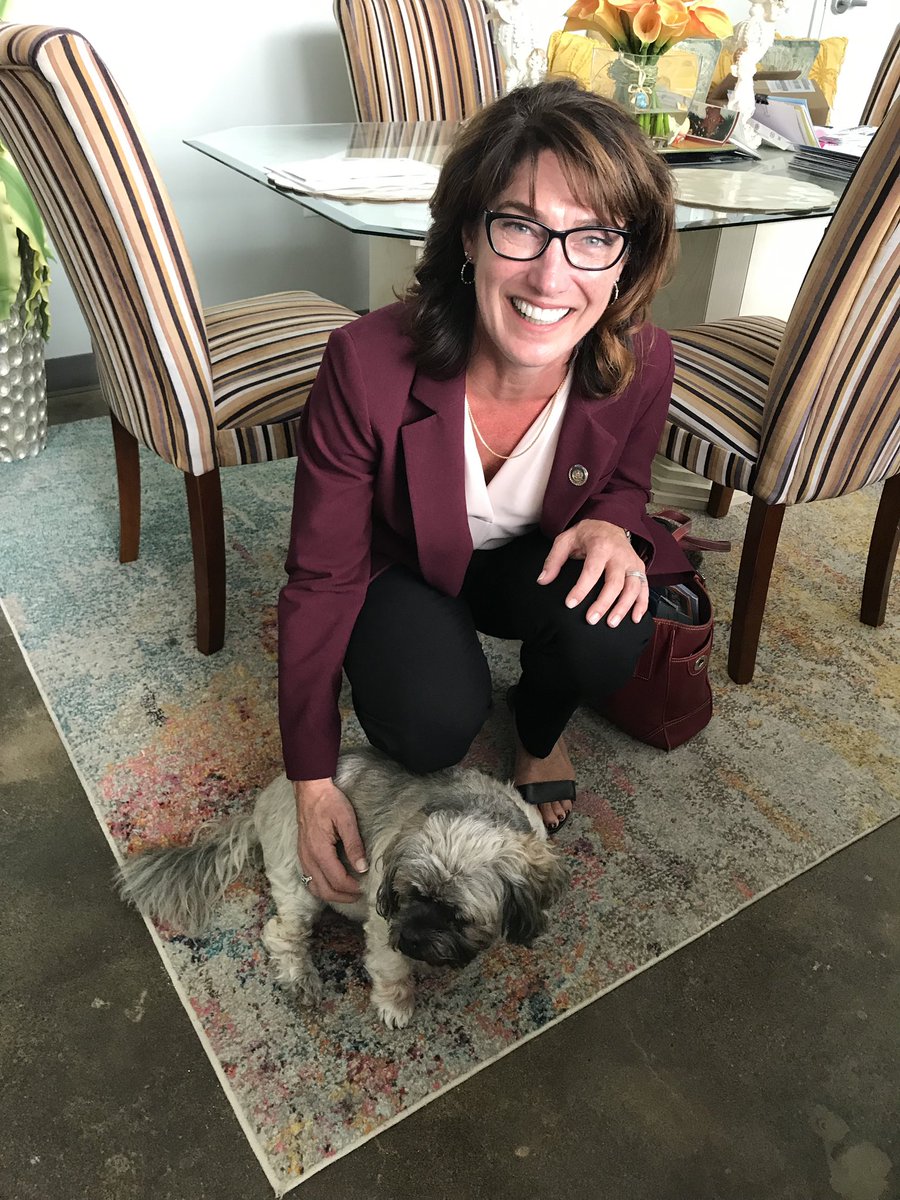 MaryIsaacsonPA's tweet photo. Spent the afternoon with NKCDC to see their new offices and tour their affordable housing project Orinoka House. While meeting with constituents there I met this lovely service dog Sam. #nkcdc #affordablehousing https://t.co/QTAR4hsTs4