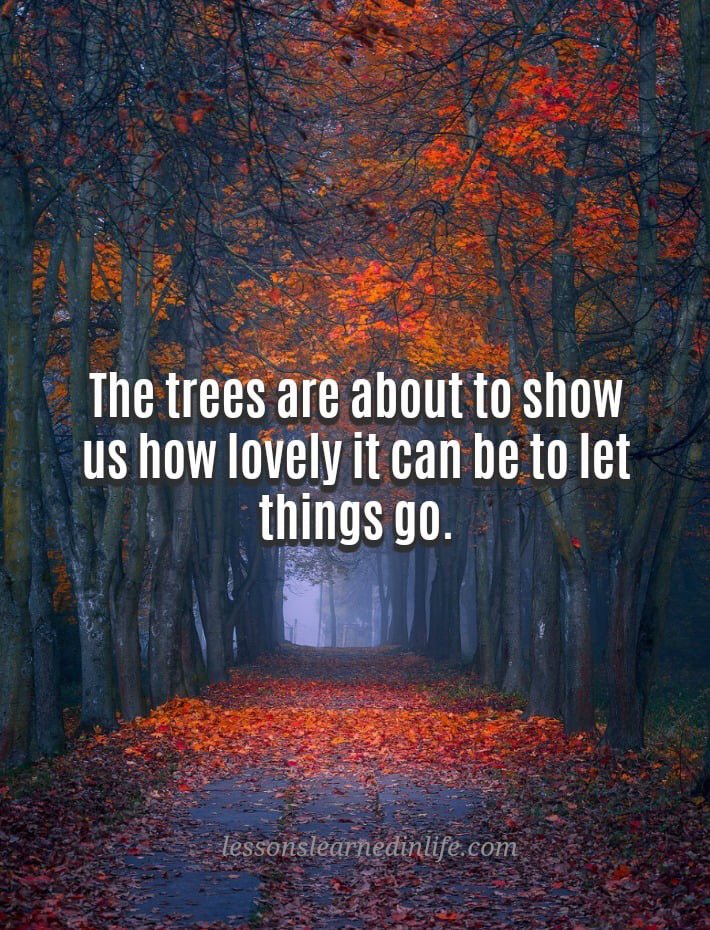 EmmaSanter's tweet photo. #LetGo of things that don't make you happy! #autumnleaves #autumnchanges https://t.co/LvMbtamze9