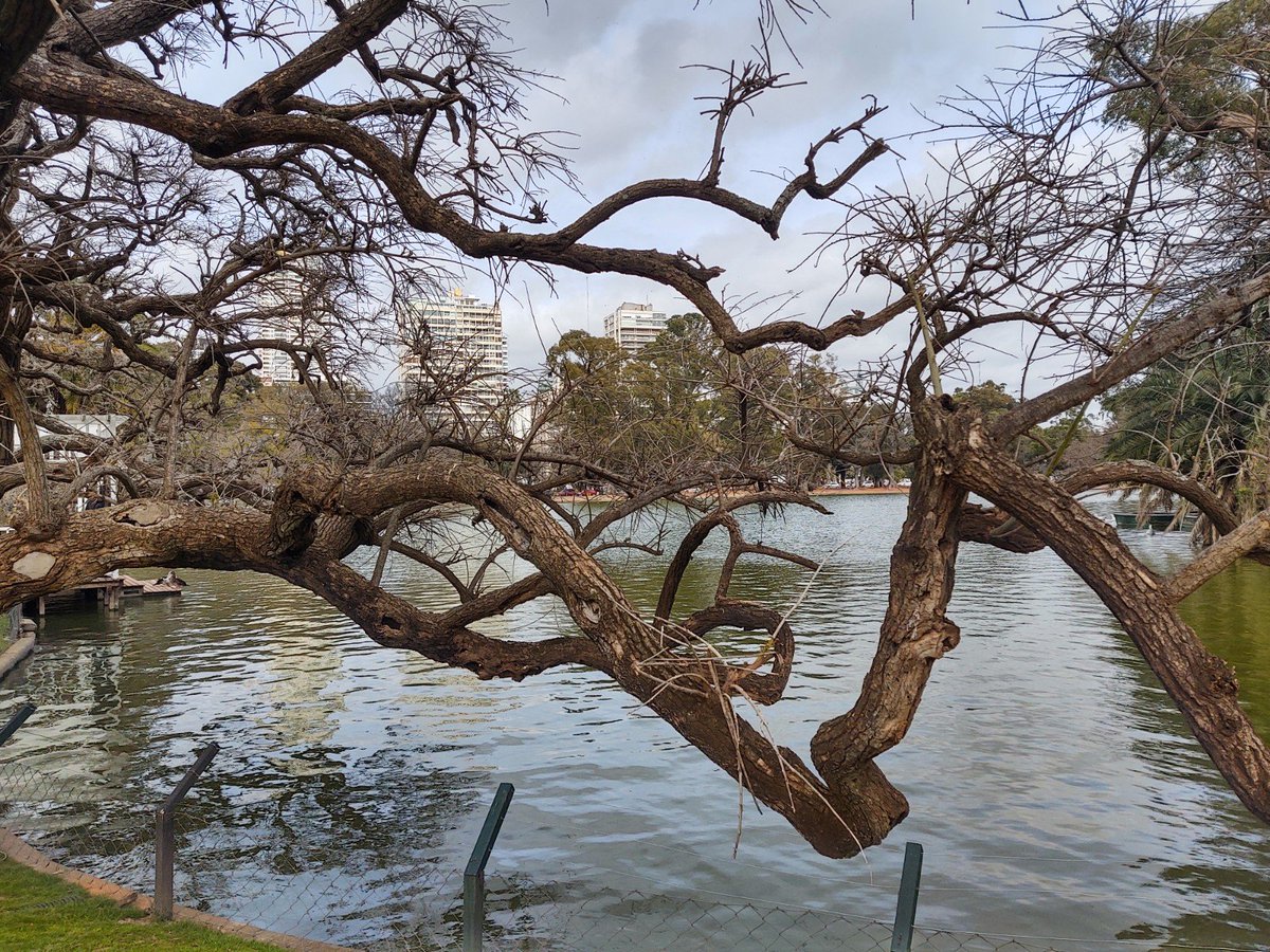 luis_estrada's tweet photo. Zoom óptico x3 del nuevo Motorola One Zoom https://t.co/BRuOsrijdw