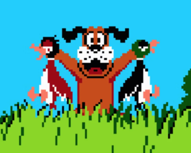 #DuckHunt. 