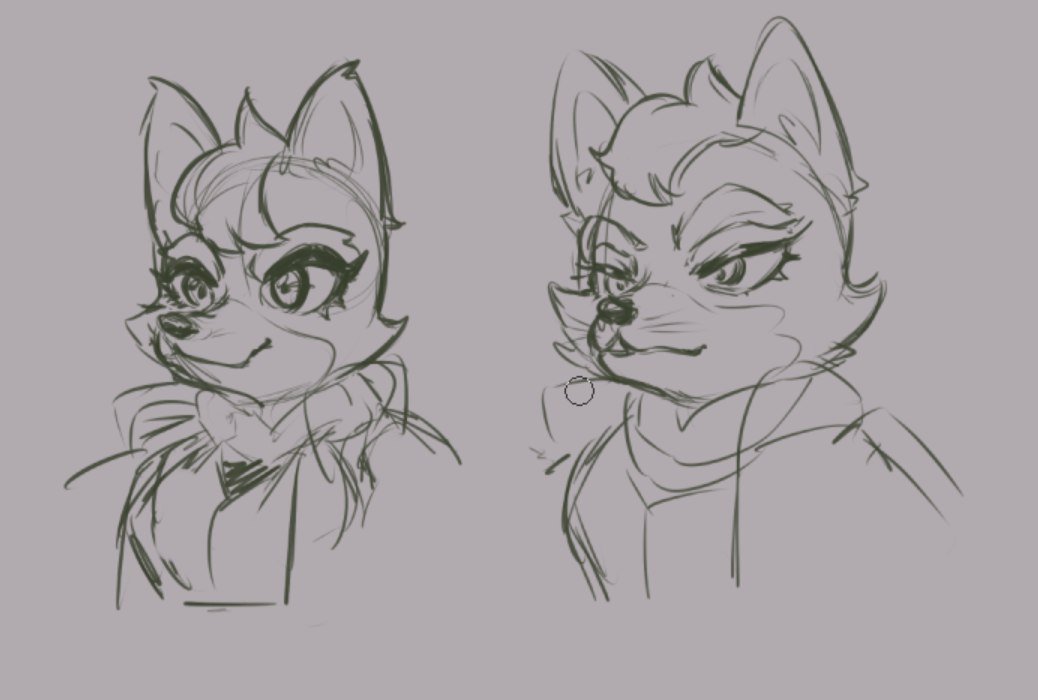 me and my friend dared to make a femalefox here's my two options. Lol