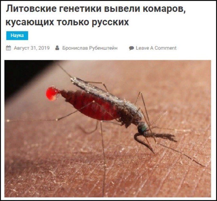 Почему для борьбы с малярией. Комарик укусит Мем. Малярийный комар кусается.