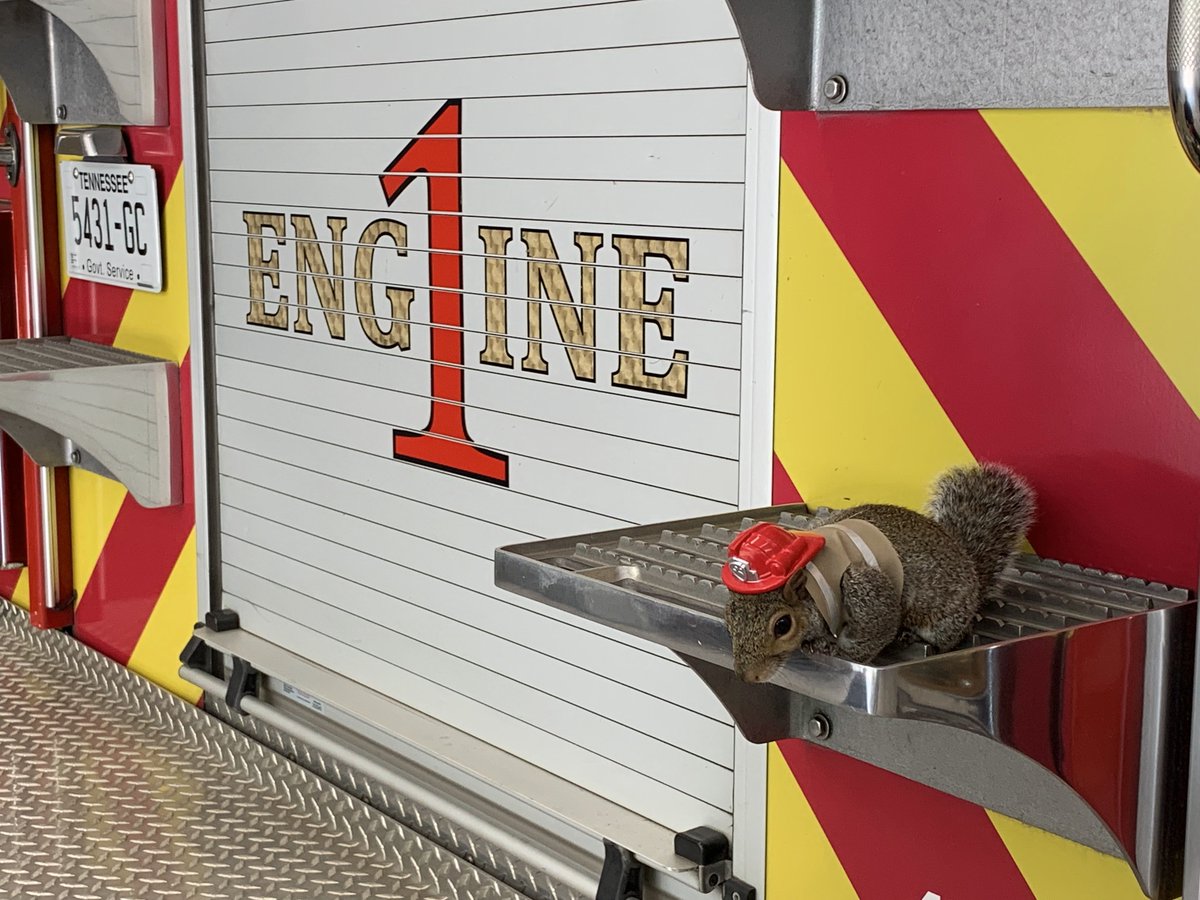 Oak Ridge Fire Dept tweet media