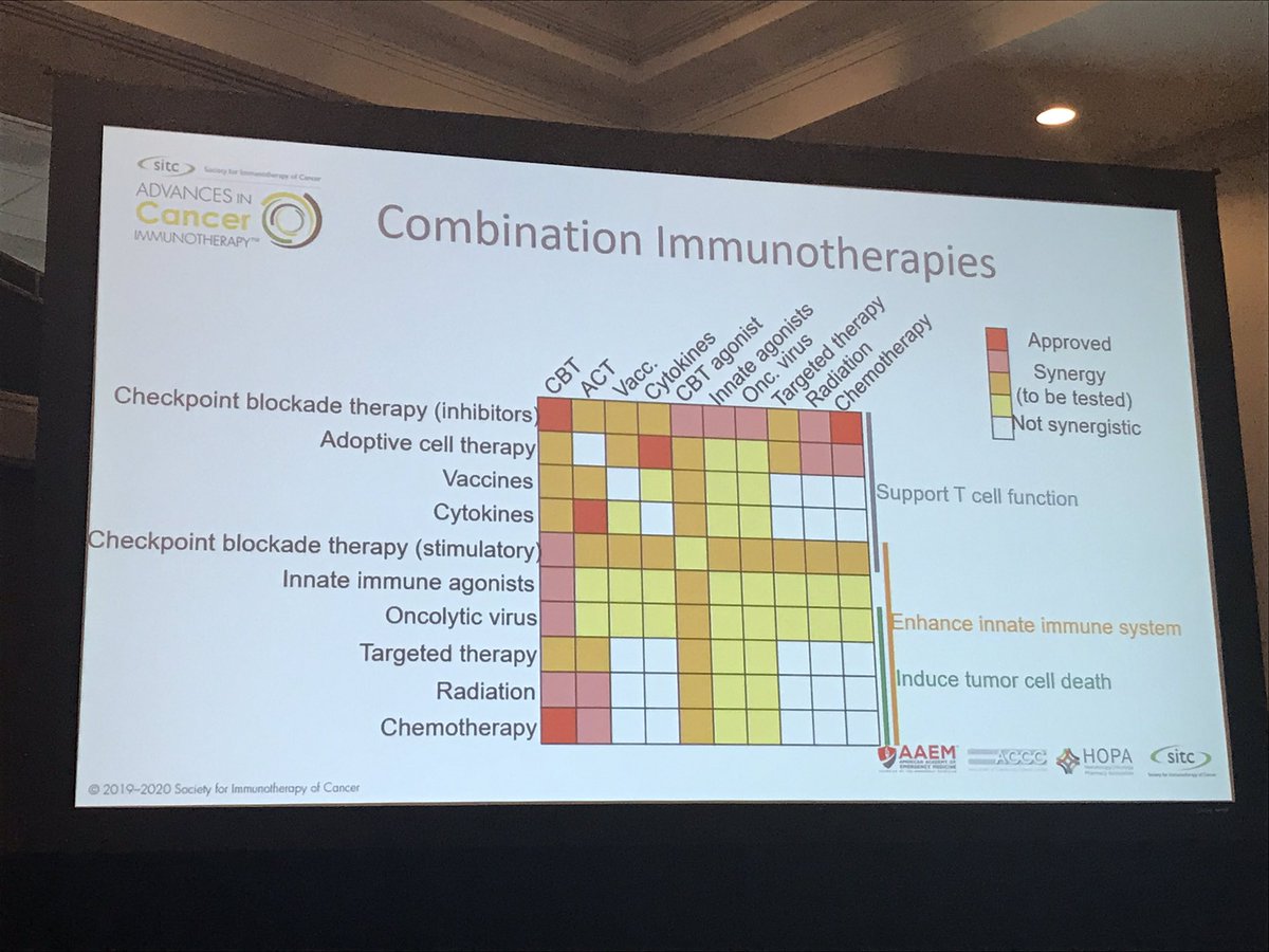 FunchainMD's tweet photo. The potential and barely tested landscape of combination immunotherapies - birds eye view by Marc Ernstoff, more to come on this from @JaniceM10’s concluding talk on the future of immunotherapy @sitcancer #ACI2019 #CLEedition https://t.co/blWbGiT9K1