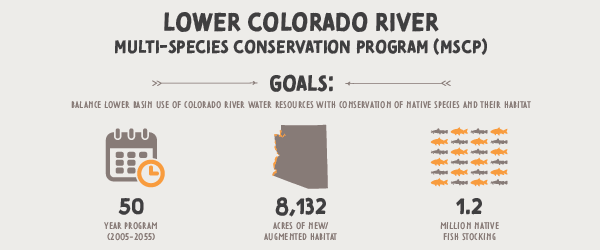 CAPArizona's tweet image. Lower Colorado River Basin “Field of Dreams” Welcomes New Visitors -- Learn more about the Lower Colorado River Multi-Species Conservation Program (MSCP) bit.ly/2kx74s7