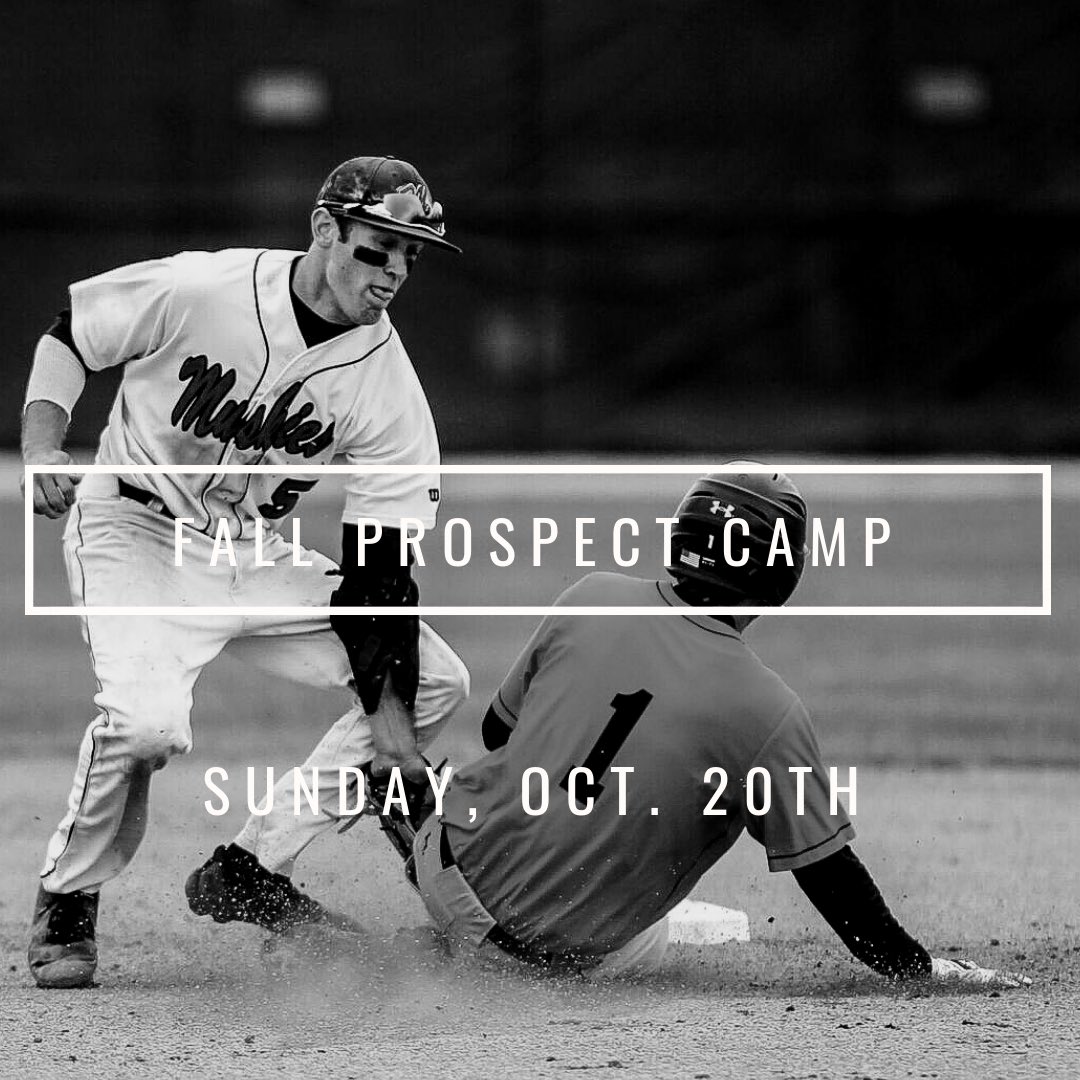 Muskingum Baseball tweet media