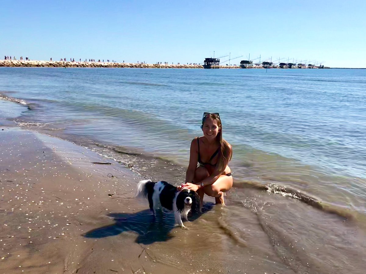 dolceSally's tweet photo. #Sottomarina #InDiga #dogfriendlybeach 🐶🐾🏖☀️🌊 https://t.co/tJN2Ho2anD