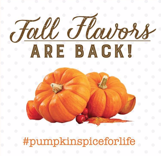 MamasColdBrew's tweet photo. All eyes on the new season.. New creamers are here! Spice up your tastebuds and fall in love with our new creamer line up! 🍂🎃☕ Click the link to read our newsletter and read about where you can find Mama's Cold Brew all month long. - https://t.co/VG17JxTlka https://t.co/Gk3ohQ1Tzj