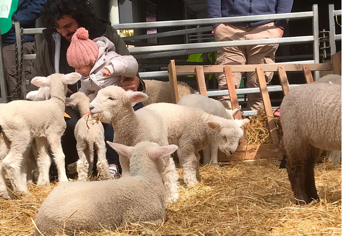 Lance Hegerle tweet media