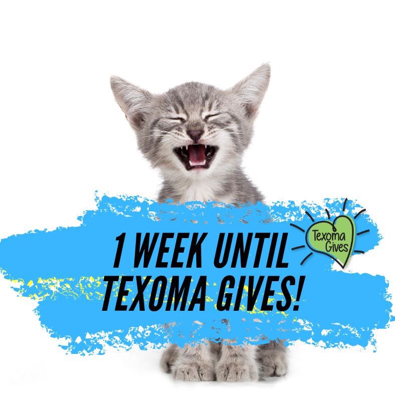 Hear my MEOW! We’ve got ONE WEEK TO GO until #TexomaGives!! Raise your paws if you’re as excited as we are 🙌🎉

If you love animals, if you want to make a difference - GIVE BACK on September 12th from 6am to 10pm. 🌟 #letyourloveflow