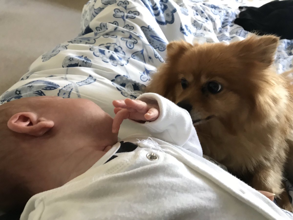 They’ll be best friends in no time