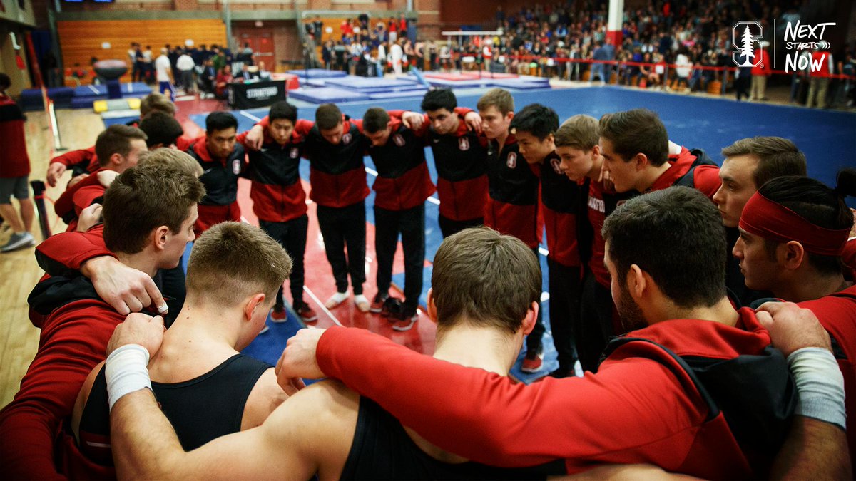 Stanford Gymnastics tweet media