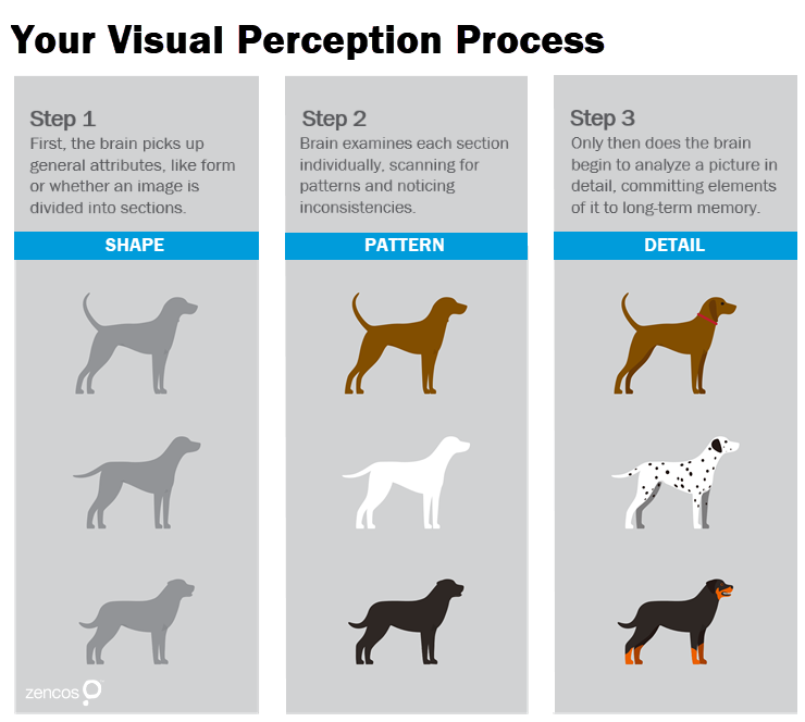 zencos's tweet photo. There are 3 steps to the human visual perception process. Your eyes classify items before you even realize it. 

These steps influence how people use your #dashboard.  

👀 >>>  https://t.co/SlFt4nsRcr https://t.co/bchbMCGNLq