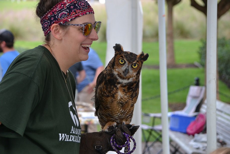 In honor of yesterday being #NationalWildlifeDay, consider getting wild at #FryDown2019! You’ll have a chance to get face-to-face with wild animals with demonstrations from Ruffner Mountain Nature Center, the Alabama Wildlife Rehabilitation Center, and Friends of Shades Creek.