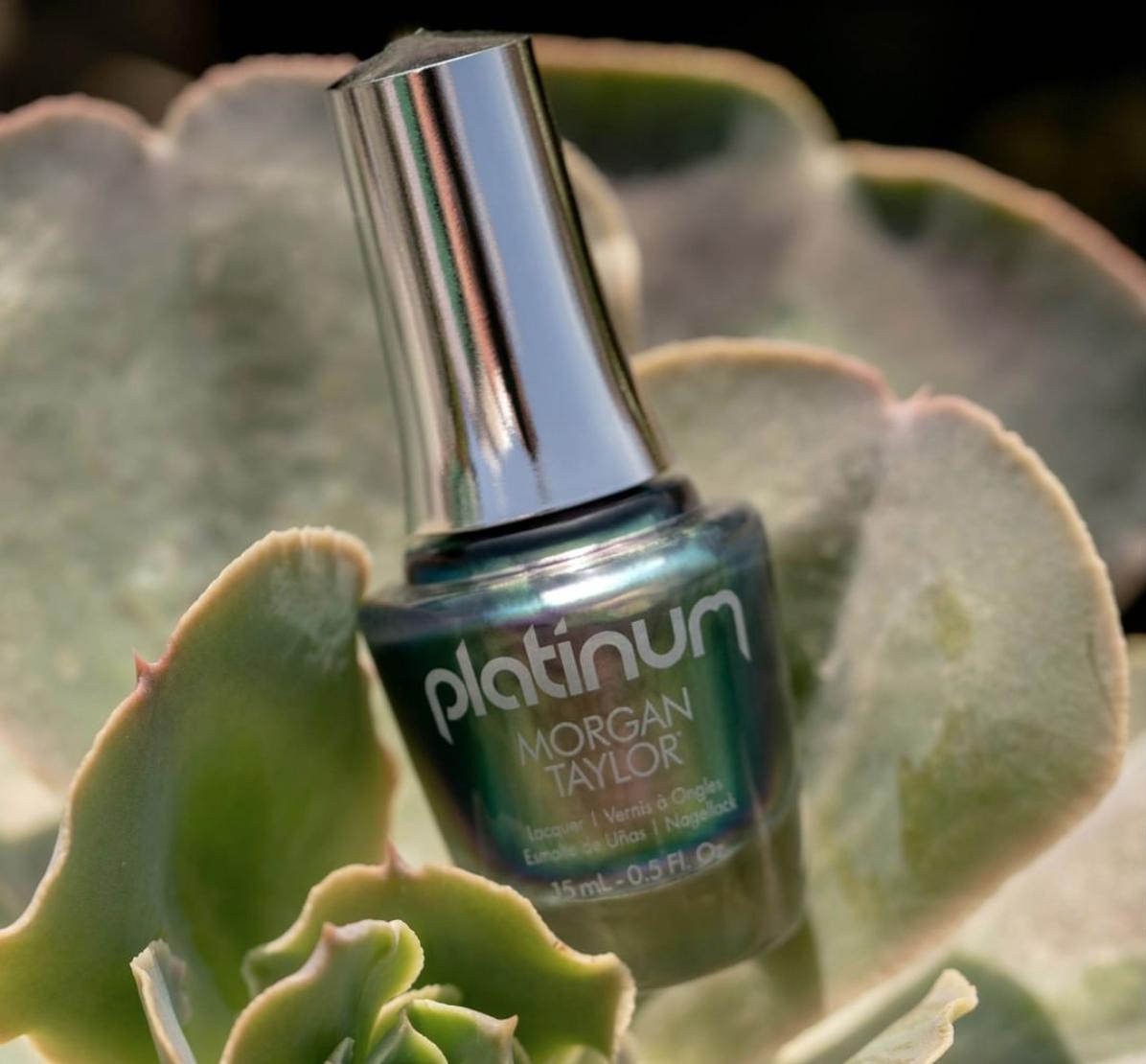 Discount Polish tweet media