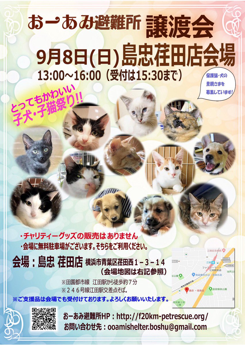 島忠荏田店 島忠荏田店
