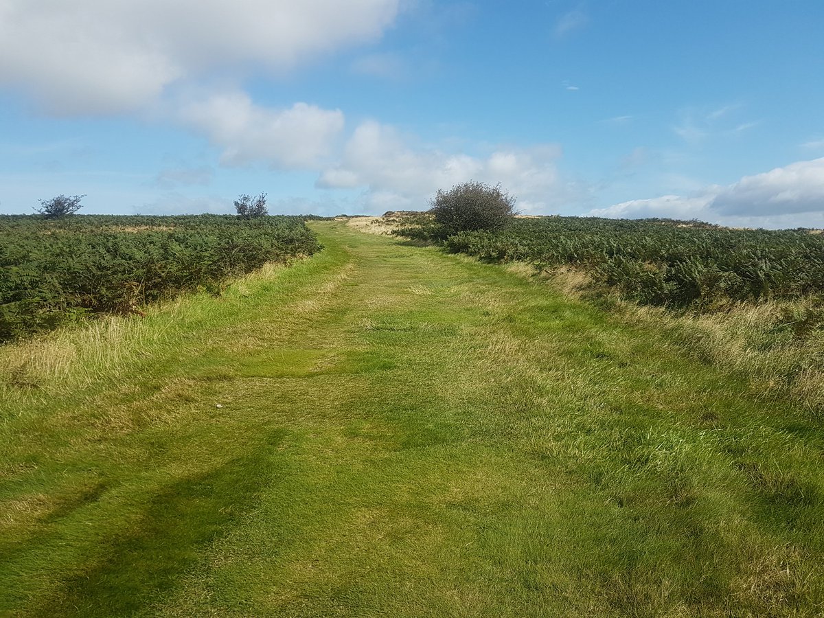 garyhunt07's tweet image. Walks to clear the head ! #KennedyPark #ViewingPoint