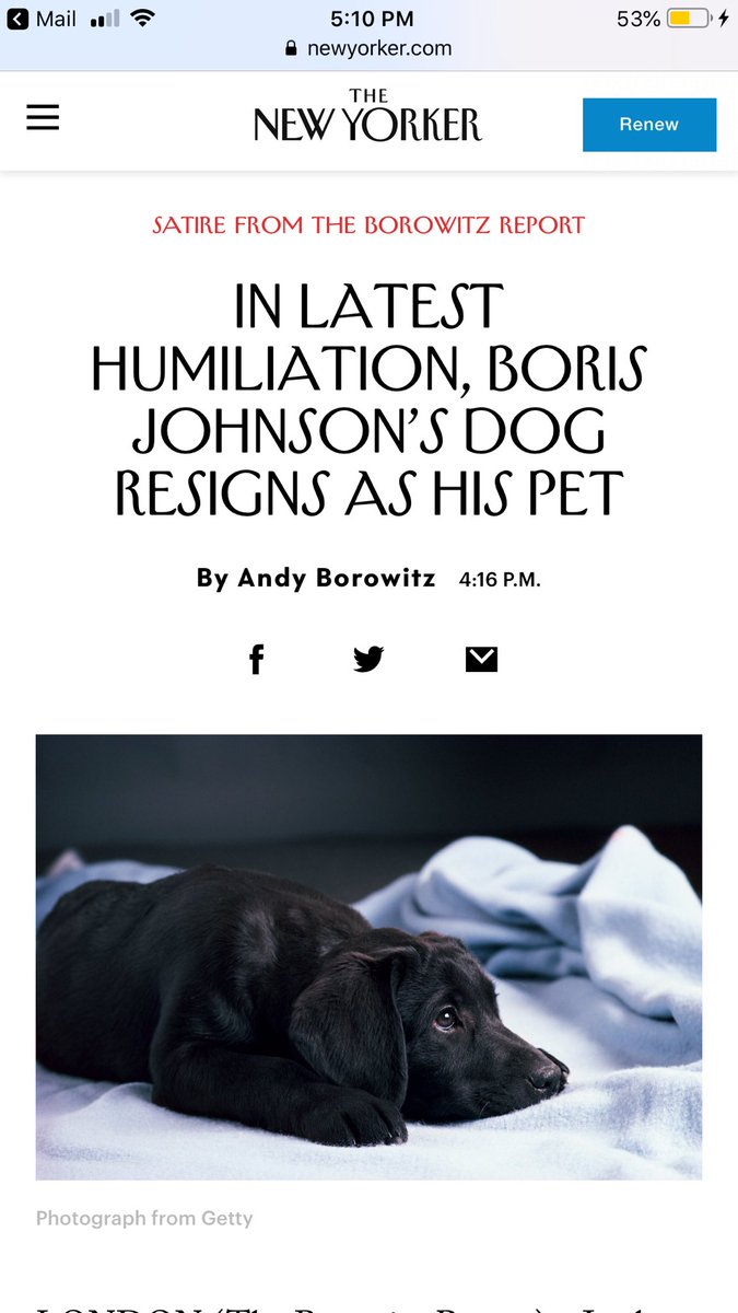 History Quotes | Keep Inspiring Me, image size:675x1200