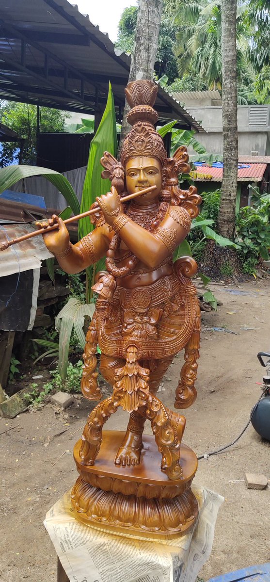 Jamie__sol's tweet image. 