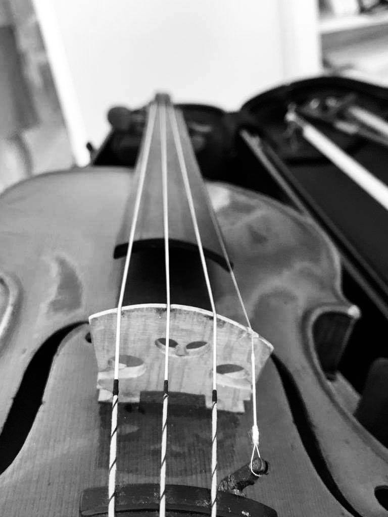 SummerSchoolPrg's tweet photo. “Music has helped me through difficult times in my life, made me more organized and taught me how to be one step ahead of others, it also made me accept criticism in a positive way" Jan Pěruška -A violinist &amp; sports reporter in Czech television https://t.co/rJWjf7NPNQ