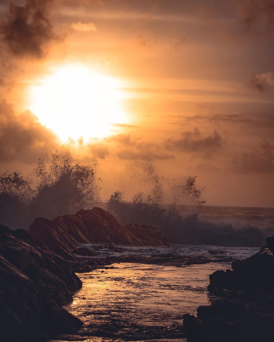 Canada's tweet image. “The sea sounded like a thousand secrets, all whispered at the same time.” ― A Map to the Door of No Return by Canadian author, Dionne Brand  #ThursdayThoughts
📍Botanical Beach, BC 
📷 pnwmedia/IG