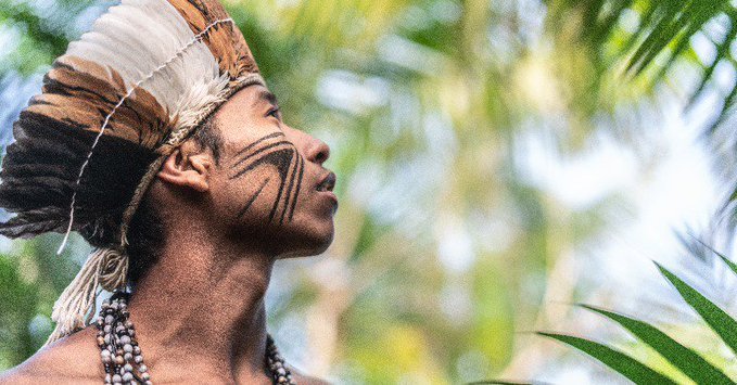 KathyMPrice's tweet photo. @jairbolsonaro @AmnestyNow @AmnestyToronto @AmnestyBC @AICanadaBHR @Craig_Benjamin @AlexNeveAmnesty @aisaskfws @AmnestyOntario @karenjavorski @anistiabrasil @iAmnestyYouth Protecting #indigenous territories is vital to prevent further deforestation in #Brazil. From Canada, we urge @jairbolsonaro to change course and uphold his obligations to defend the rights of #IndigenousPeoples. #PelaAmazonia 🌳🌎 https://t.co/UcLWPPWFYD