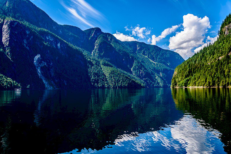 Meanwhile, in Canada:

Someone put 800 hectares of unspoiled coastline up for sale that's home to grizzly bears, eagles, and moose, hoping to fetch the highest bidder.

Ordinary Canadians found out, crowdfunded a campaign, raised $3M, and are turning it into a national park.

🇨🇦
