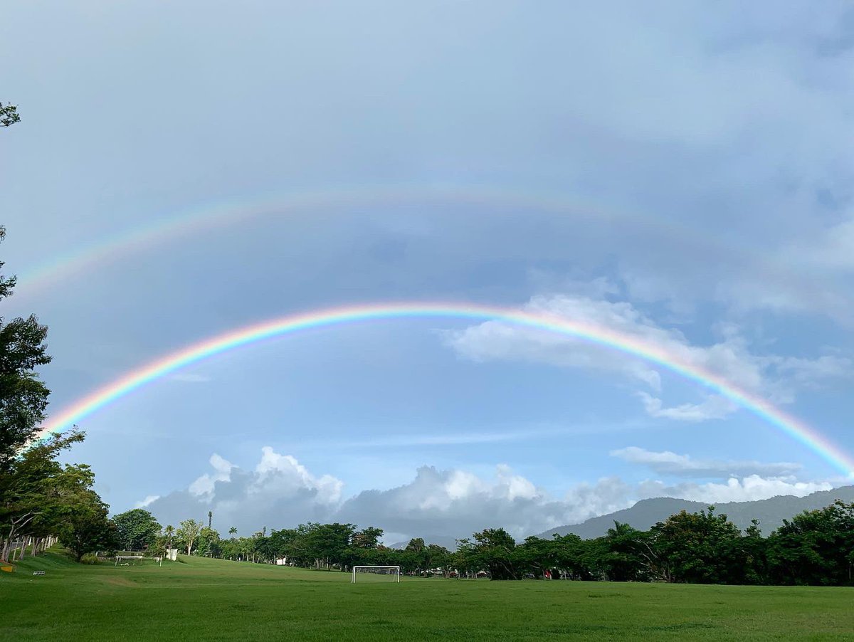 Dalvin D. Méndez Hernández tweet media