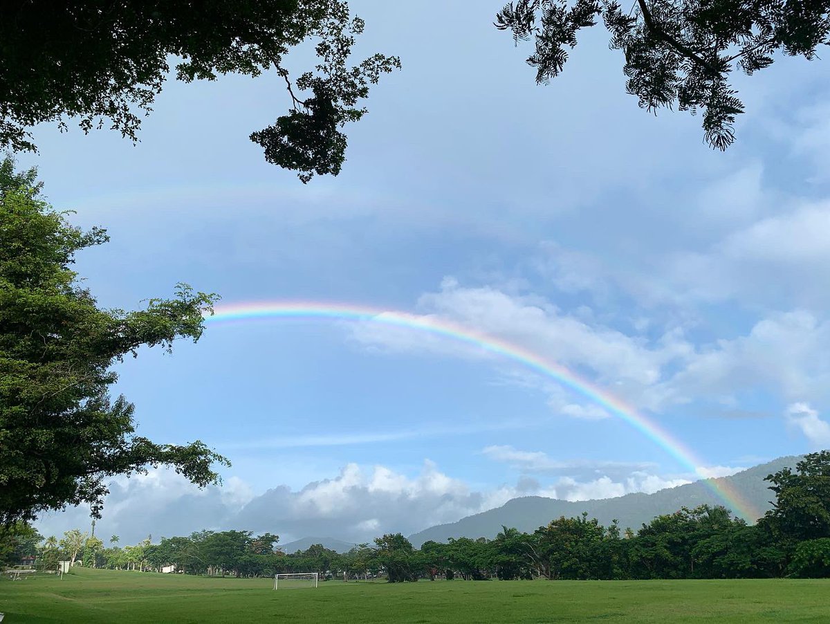 Dalvin D. Méndez Hernández tweet media