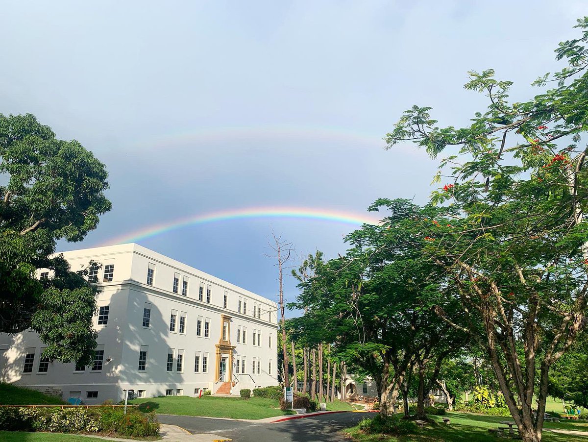 Dalvin D. Méndez Hernández tweet media