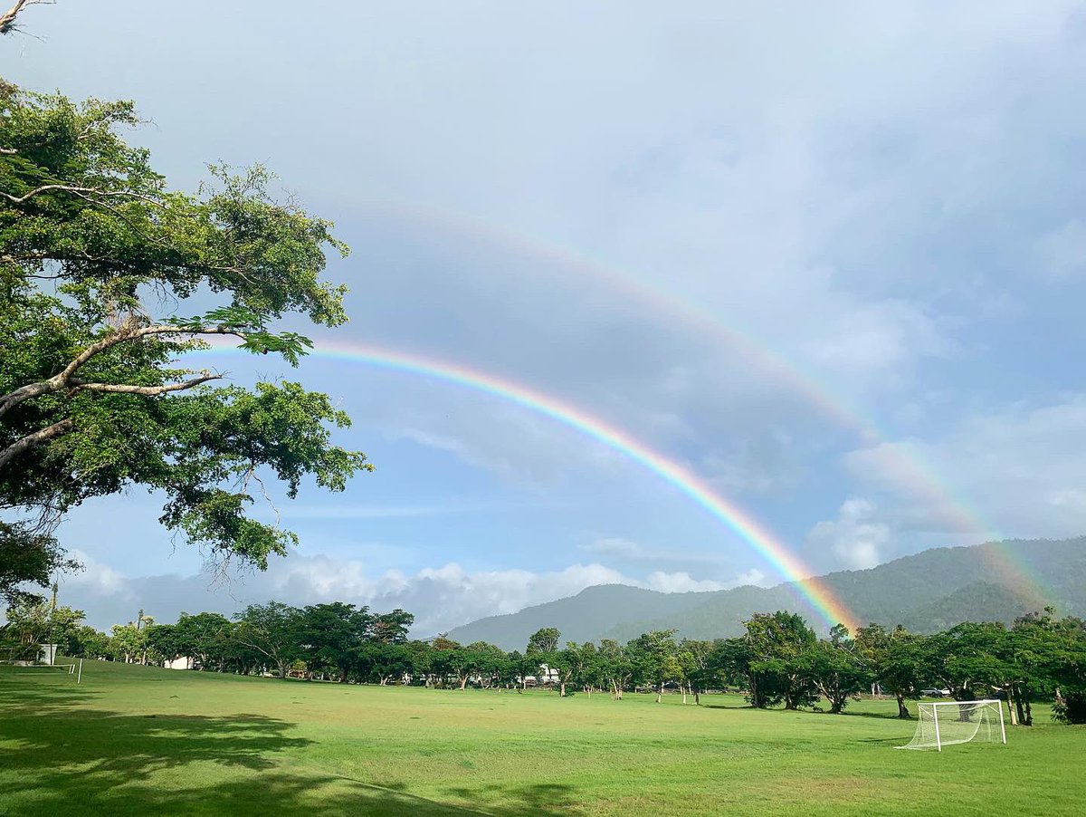 Dalvin D. Méndez Hernández tweet media