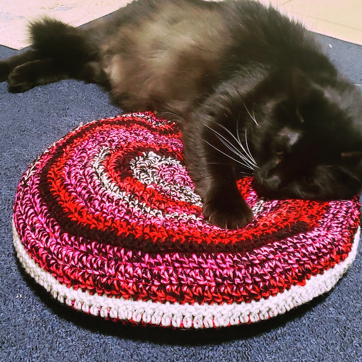BlackDahlia42's tweet photo. Cat mat is officially Raimie approved! It makes me excited to crochet her some more presents!
#crochetwithcats #hookerlife https://t.co/zn1rrfdvP5