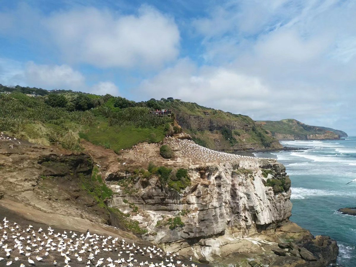 wonderful holiday time