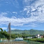 ツイートに含まれる画像