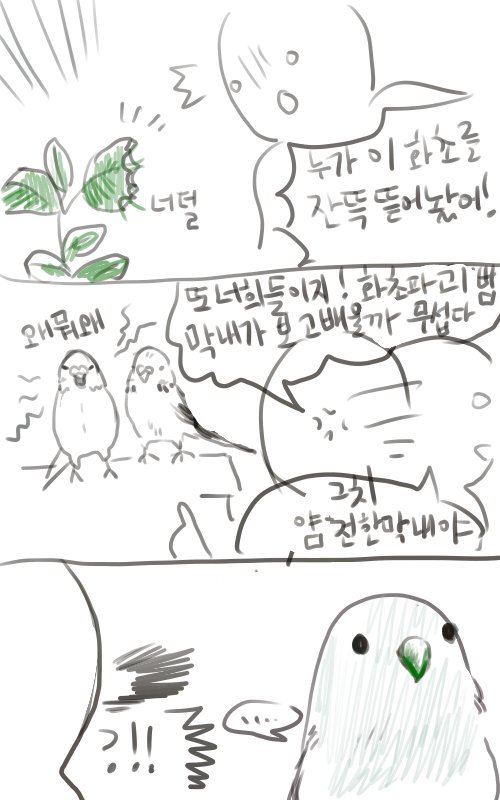 퇴원했습니다! 