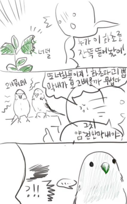 퇴원했습니다! 