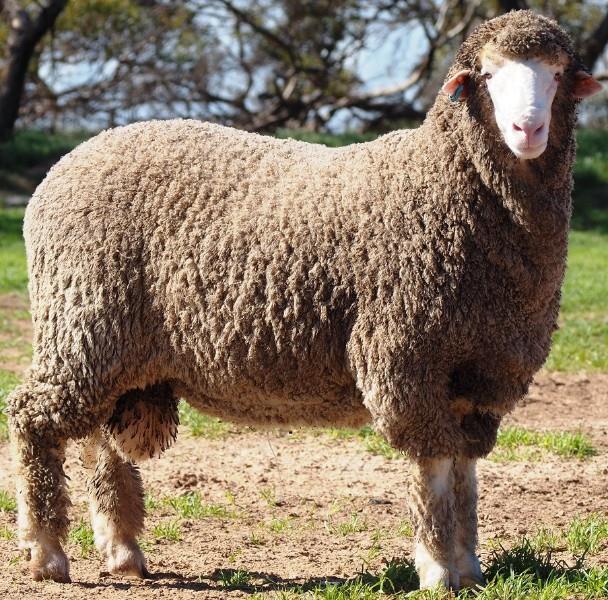 Struan Pearce tweet media