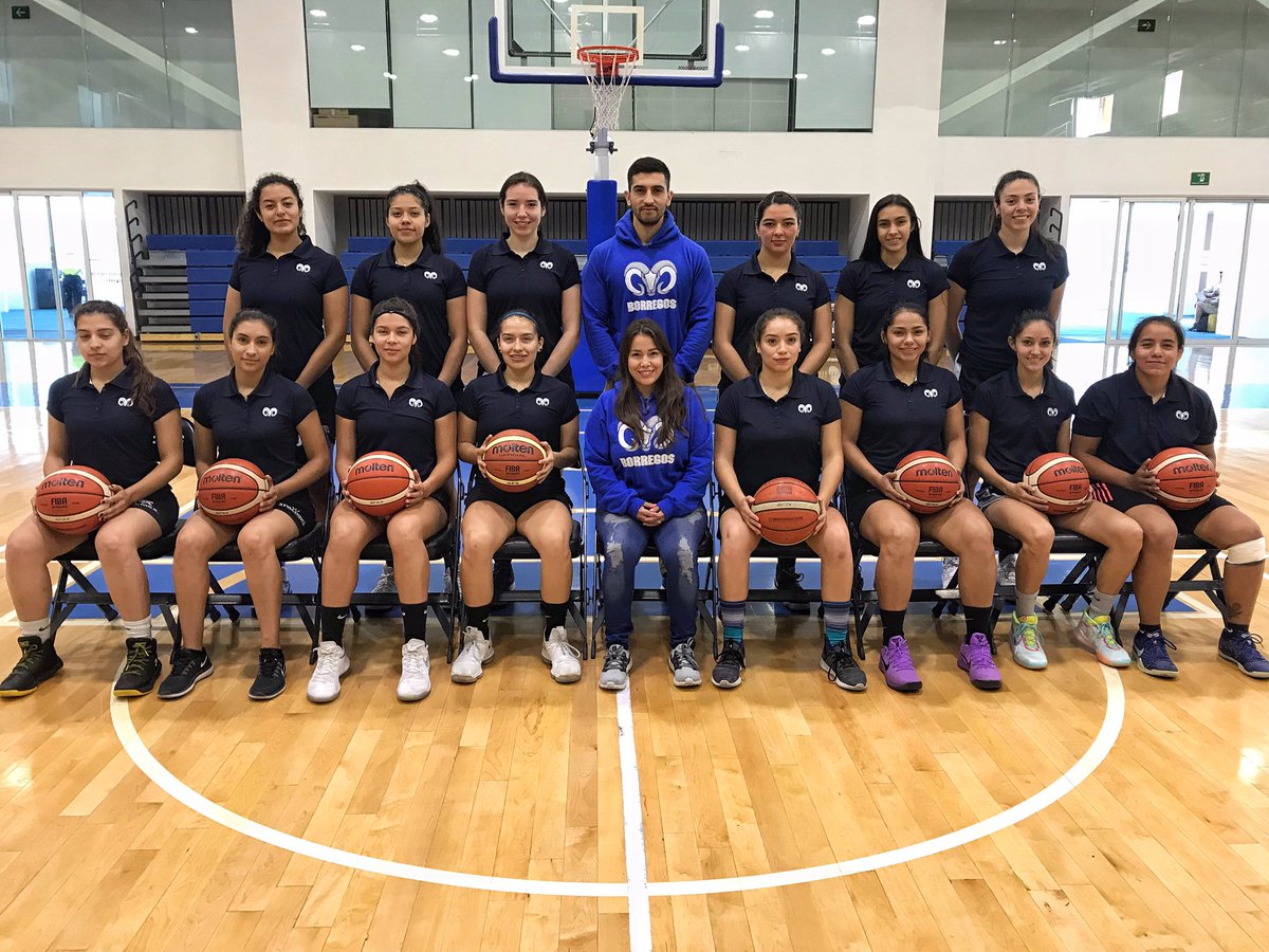 CoachOlano's tweet image. Vamos por algo nuevo, no de cero. #AlwaysPush #coachIO #basketball @BorregosPuebla #2019 @AsocBasquetEst 🏀💪🏻🐏