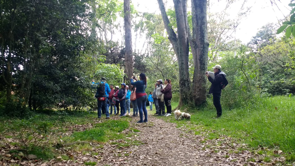 ServicioCivilD's tweet photo. Servidores y colaboradores de todas las entidades distritales y sus familiares, disfrutaron de este día con una Caminata Ambiental en el Humedal Córdoba, Gracias a la alianza entre @ServicioCivilD  y  
@Ambientebogota.  #BogotáAlNaturalVívelaConElCorazón🍃❤️ https://t.co/7b9Di78pWF