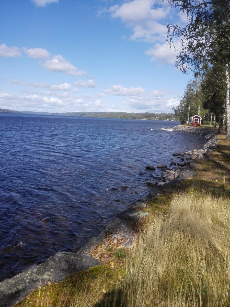kristallnaach's tweet photo. Heute aber nicht..der #Wald wartet
#FrykstaGamlaStation #Fryksta
😍 #Schweden 🇸🇪 #Fryken-See
#Elchenländle19 🇸🇪 #Värmland https://t.co/XlcEysmyYr