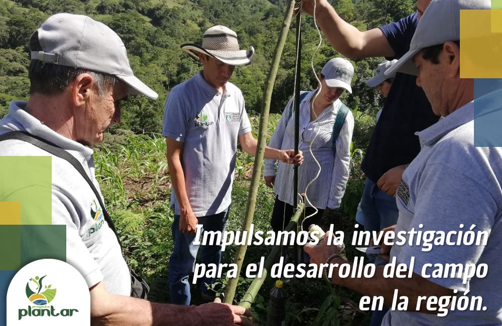 ProyectoPlantar's tweet photo. #PlantarEsAvanzar

Entre todos generamos intercambio de experiencias y conocimientos prácticos para el progreso de las familias agricultoras. https://t.co/nBbDqBr9Jx