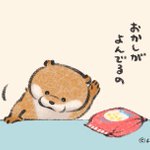 だってお菓子が呼んでるんだぬ!我慢できなかったカワウソちゃんw