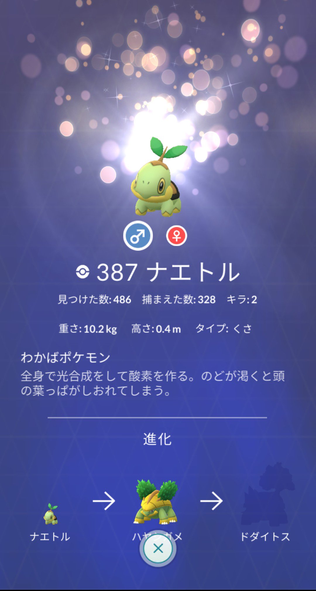 Imokenp117 Pokemongo 捕まえてるのに影が ポケモンgo ナエトル T Co J3wudkblv7 Twitter