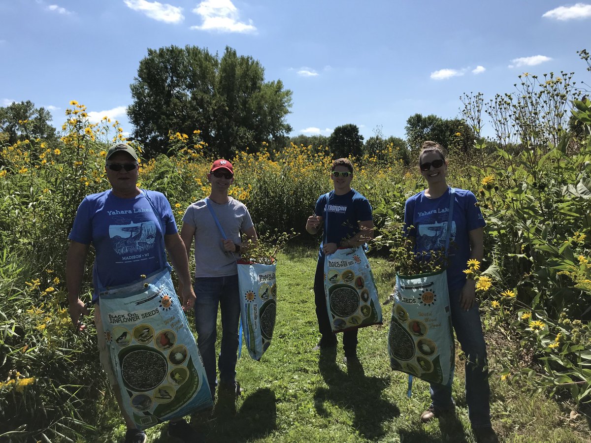 cleanlakes's tweet photo. Thank you @AmerTransCo for helping #RenewTheBlue at Lake Farm County Park!
Volunteers collected seeds from native plants to be used in the future - native plants are lake friendly!
#healthylakes #MadisonWI
Thank you: #DaneCountyParks @RBC @CUNAMutualGroup & @LandsEnd !! https://t.co/LxV1ZJFZ2n