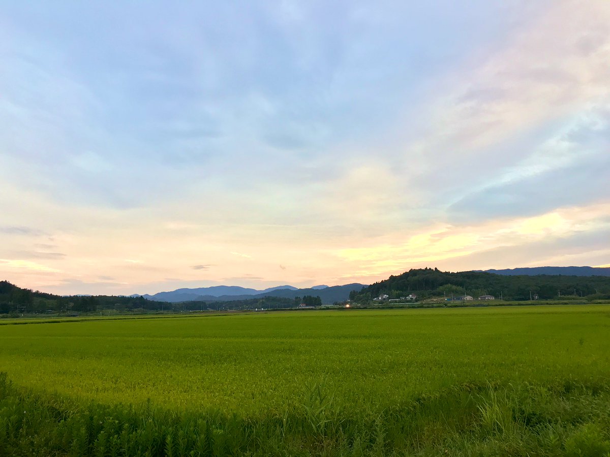 どうする俺 どうする俺