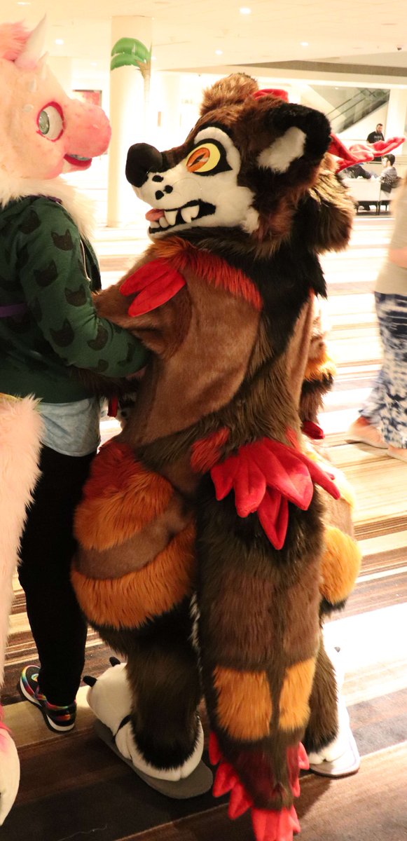 New #fursuit review (written by <a href="/wranwolfraptor/">Wran</a>):
[YES] Wran Bodysuit &amp; Tail by <a href="/ButterscotchBi3/">BB Fursuits - COMMISSIONS CLOSED</a>!

Read it here:
fursuitreview.com/blog/2019/09/0…