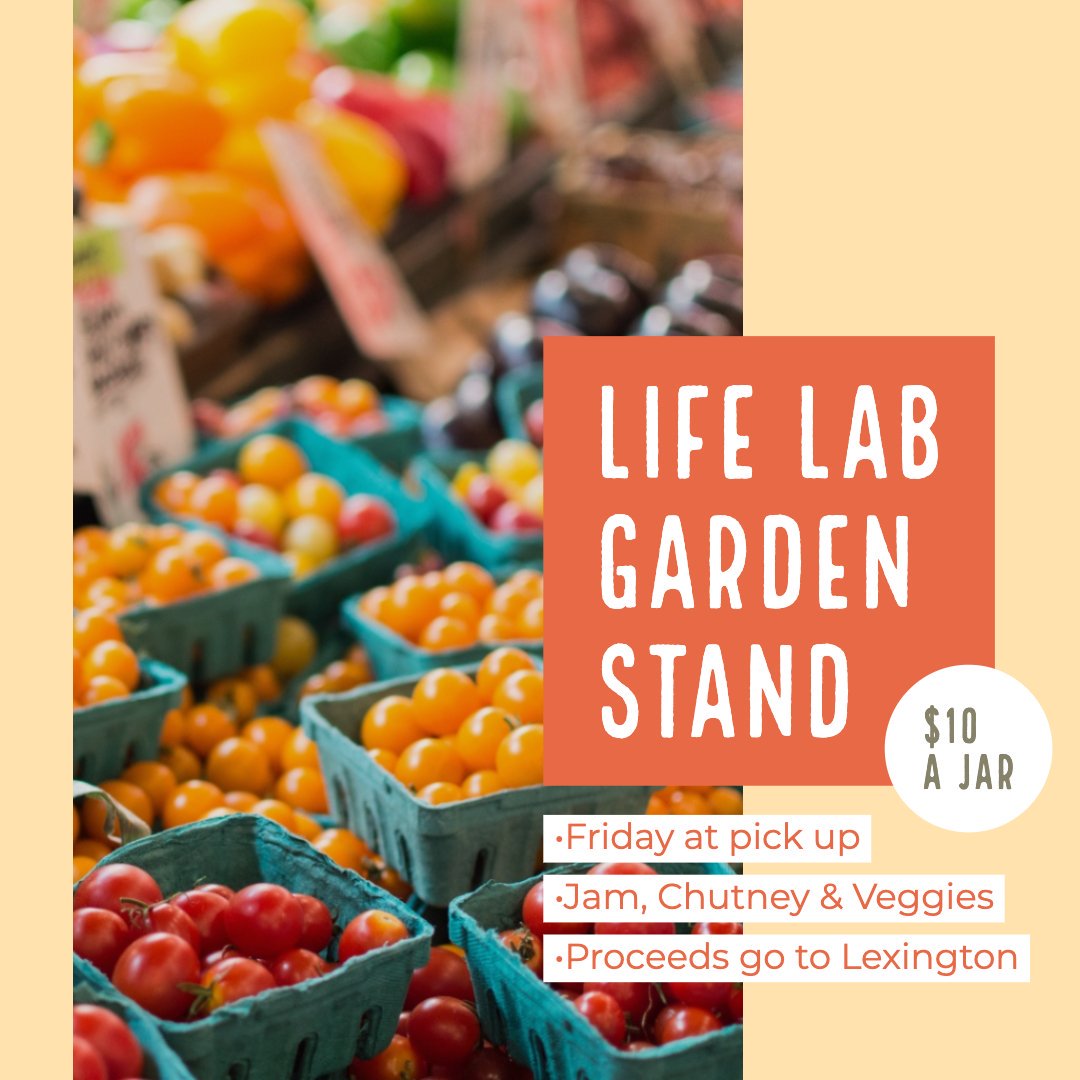 LexWildcatsLG's tweet photo. LEXLifeLab Garden Stand Sale Happening tomorrow, Friday, at pick up! $10 A jar, proceeds go to Lex! Sample our harvest and see what’s been growing! #wearelgusd #weareLEX #LexLifeLab #weareTeamLex https://t.co/qoiWKvWixX